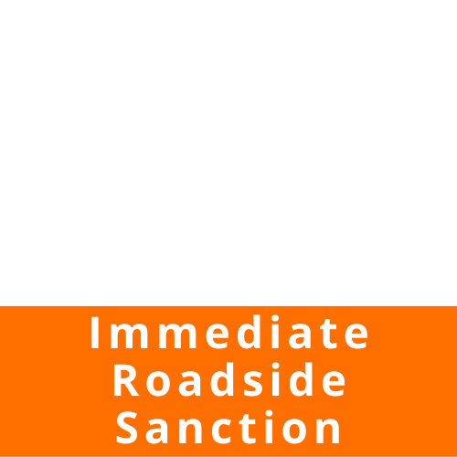 immediate roadside sanction